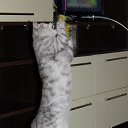 ���� << �����, ���������, 35 ��� - ��������� 2 ������� 2013 � ������ ���� ����������