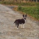 ������ ������...
����� �� ������ ����������... �� ������� ���� ���� � ������ ��������