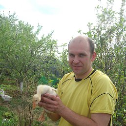 ���� �������, ������ ��������, 50 ��� - ��������� 14 ������ 2014