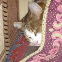 ����� �� ������!