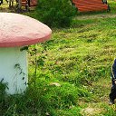 ���� Vovan Sopini, ���������, 55 ��� - ��������� 6 ������� 2013 � ������ ����������� �������