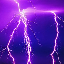 �����, ������, 47 ���