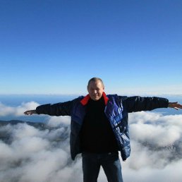  ,  , 61  -  24  2014