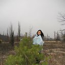 ���� �������, ������� - ��������� 7 ������ 2013 � ������ ���� ����������