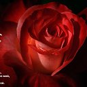 ���� ����, ���, 46 ��� - ��������� 29 ������� 2013 � ������ �� ������ ���� ����� ����