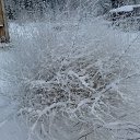 ���� ���������, ���������, 63 ���� - ��������� 2 ������� 2014 � ������ ������ ��������