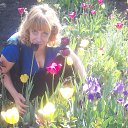 ���� ��������, ������ - ��������� 1 ������� 2014 � ������ ���� ����������