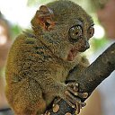 ���� �����)), �����������, 46 ��� - ��������� 28 ������� 2013