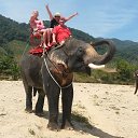 ���� ��������\274, ������ - ��������� 13 ������� 2014 � ������ ���� ����������