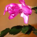 ���� Kisa, ��������������, 42 ���� - ��������� 21 ������� 2013 � ������ ������ �����������...�