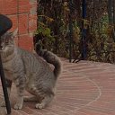 ��� ������� �����!!!!!! �� ������� ���� ����������