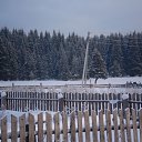 ������, ������. �������� ���� 03.01.2008 �� ������� ������ ��� � ���