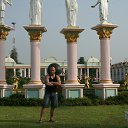  , -, 50  -  11  2014    2013