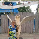 ���� ������, ������� - ��������� 1 ������ 2014 � ������ ���� ����������