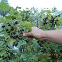 ���� ��������, ���������, 63 ���� - ��������� 12 ������ 2013 � ������ ���� ����������