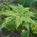 ������������. �� ������� ���� ����.�