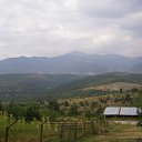 ���� Plamen Malchev, �����, 63 ���� - ��������� 28 ������� 2013 � ������ ���� ����������