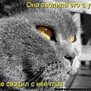 ���� &bull;��������, ������������ - ��������� 27 ������� 2014 � ������ ���� ����������