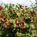 ������ �������! �� ������� ���� ����.�