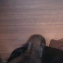 ���� � ���� �� ������� ���� ������ � �������