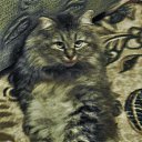 ������ ���������������... �� ������� ���� ���� � ������ ��������