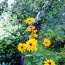 ���� ������� �., ����� - ��������� 6 ������� 2013 � ������ �������