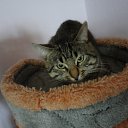 ���� ���������, �����-���������, 57 ��� - ��������� 7 ������ 2014 � ������ ���� ����������