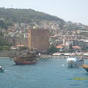 ���� ���������, �����������, 43 ���� - ��������� 8 ������� 2013 � ������ ���� ����������