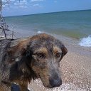 ���� �, �������� - ��������� 2 ����� 2014 � ������ ������ ��������