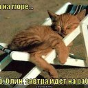 ���� ������, ������, 44 ���� - ��������� 21 ������� 2014 � ������ ���� ����������