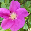 ���� ������� �., ����� - ��������� 22 ������� 2013 � ������ �������