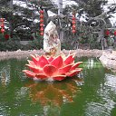 ���� ������, ����������� - ��������� 2 ������� 2014 � ������ ���� ����������