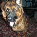 ���� ������, �����-��������� - ��������� 13 ����� 2014 � ������ ������ ��������