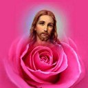  ,  , 72  -  24  2014    