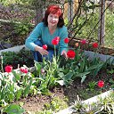 ���� �������, �����������, 71 ��� - ��������� 17 ������ 2014