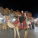 ���� Inga, ������ - ��������� 3 ������� 2014 � ������ �EGYPT 2014�
