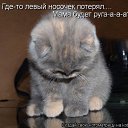 ���� ��������, ������, 61 ��� - ��������� 23 ������ 2013