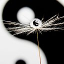 ���� ����, �������� - ��������� 4 �������� 2013 � ������ ��������, �����������