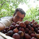  Igor, , 51  -  22  2014    