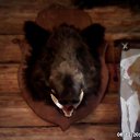 ���� ������, ���������� �����, 46 ��� - ��������� 9 ������� 2013 � ������ ���� ����������