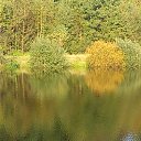 ���� ���������( �� �������), ��������� - ��������� 10 �������� 2013 � ������ ������� � ������ �����.�
