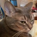 ��� ����� ����������� ������-����(������. 3 ����)
 �� ������� �2016 ��� ��������