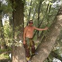 ���� �������, ����������� - ��������� 22 ������� 2013