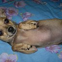 ���� ����!, ���������, 61 ��� - ��������� 21 ������� 2014 � ������ ������ ��������