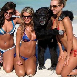 ���� ������, �����������, 28 ��� - ��������� 11 ������� 2013