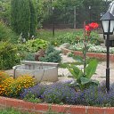 ���� ���������, ���������, 66 ��� - ��������� 13 ������� 2013 � ������ ���� ����