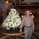 ���� Sadi, �����, 67 ��� - ��������� 15 ����� 2014 � ������ ���� ����������