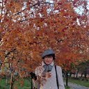 ���� �����, ���������� �����, 61 ��� - ��������� 20 ������� 2013 � ������ ���� ����������