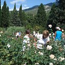 �������� ����.. �� ������� ����� ��� ������������