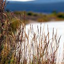 ���� ������ 72, ������������, 53 ���� - ��������� 30 ������� 2013 � ������ ������� �������